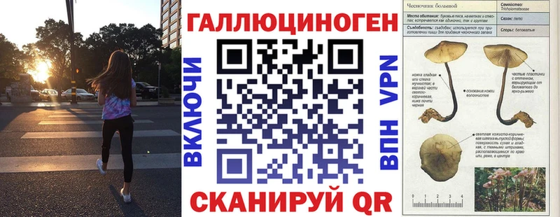 Псилоцибиновые грибы мицелий блэк спрут tor Реутов что такое наркотик